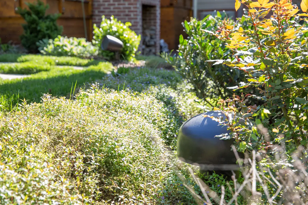 Episode backyard speaker