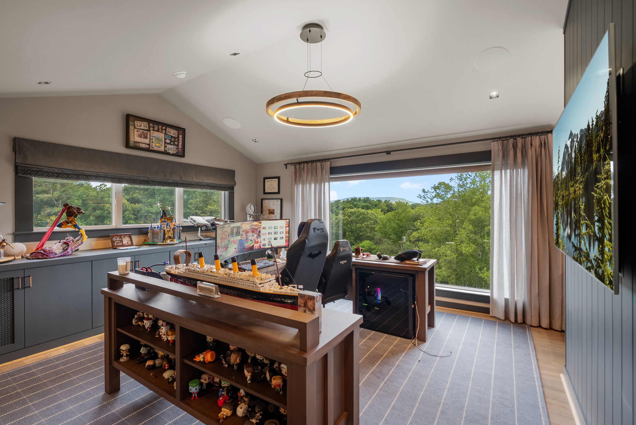 Home office with monitor, a large television, display shelves, and wooded views